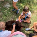 PHOTO-2026-07-14-17-24-53